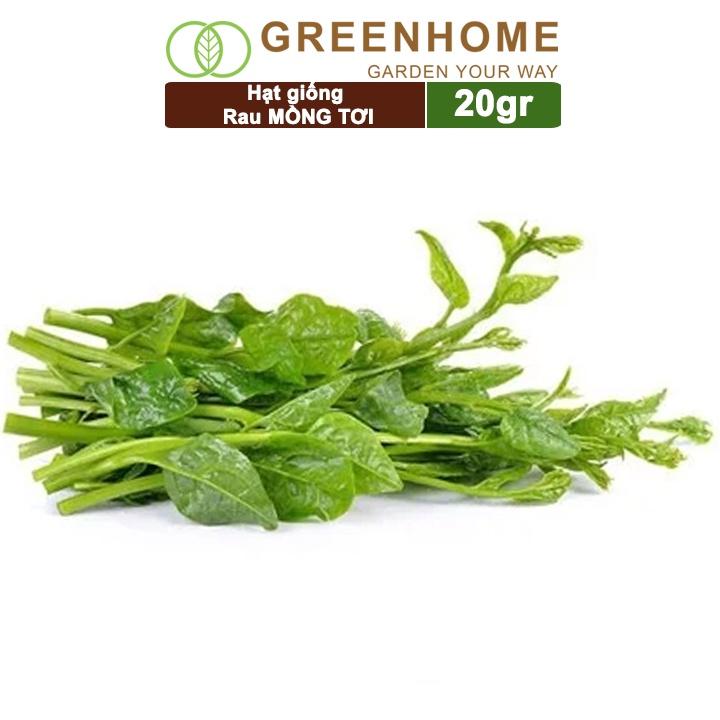 Hạt Giống Rau Mồng Tơi Greenhome, Gói 20g, Dễ Trồng Quanh Năm, Nảy Mầm Cao, Thu Hoạch Nhanh, Năng Suất Cao R11