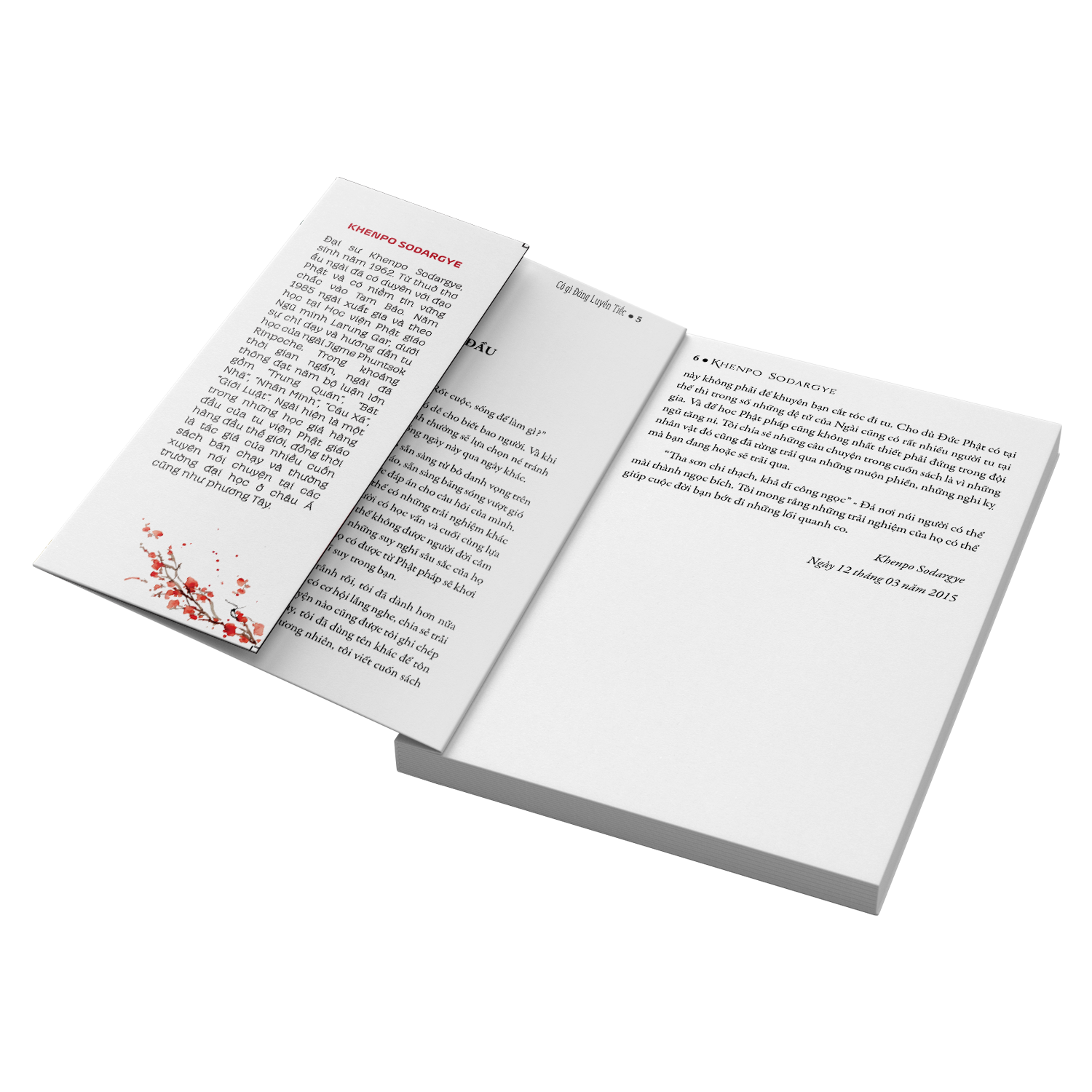 Sách Có Gì Đáng Luyến Tiếc - Sách Tôn Giáo, Nghệ Thuật Và Văn Hóa, Tác Giả KHENPO SODARGYE - Á Châu Books, bìa mềm, in màu