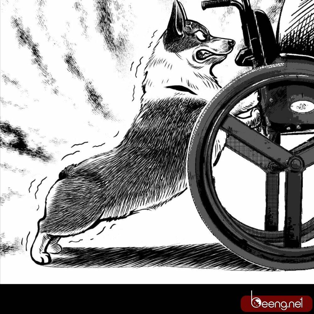 dạ hành khuyển chapter 2 5