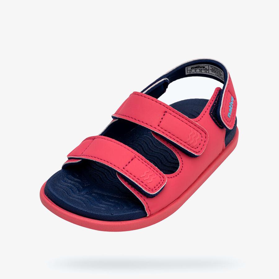 Giày Sandals Bé Gái Native Frankie Sugarlite Child