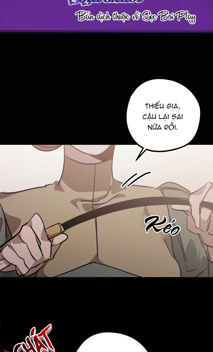 khu vườn hoa lavender chapter 0 2