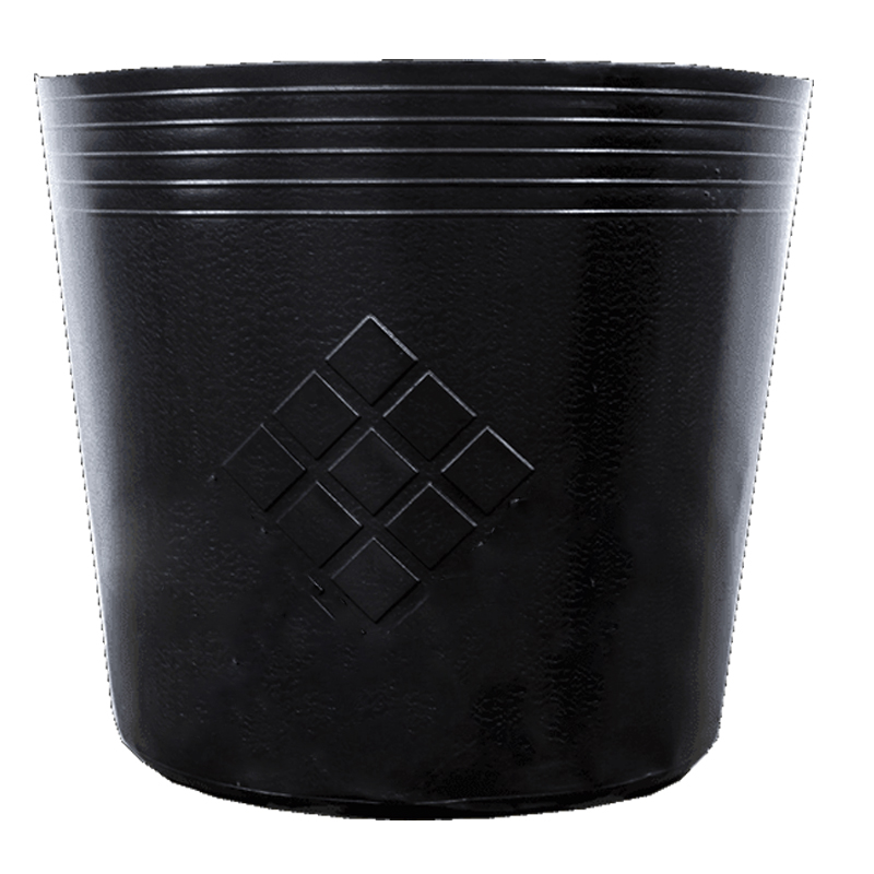 500 Chậu nhựa C8 19x16cm trồng cây ăn trái và hoa,bền 10 năm-77102