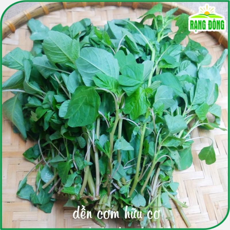 Hạt Giống Rau Dền Cơm Dễ Trồng, Sinh Trưởng và Kháng Bệnh Tôt (gói 10 gr) - Hạt giống Rạng Đông