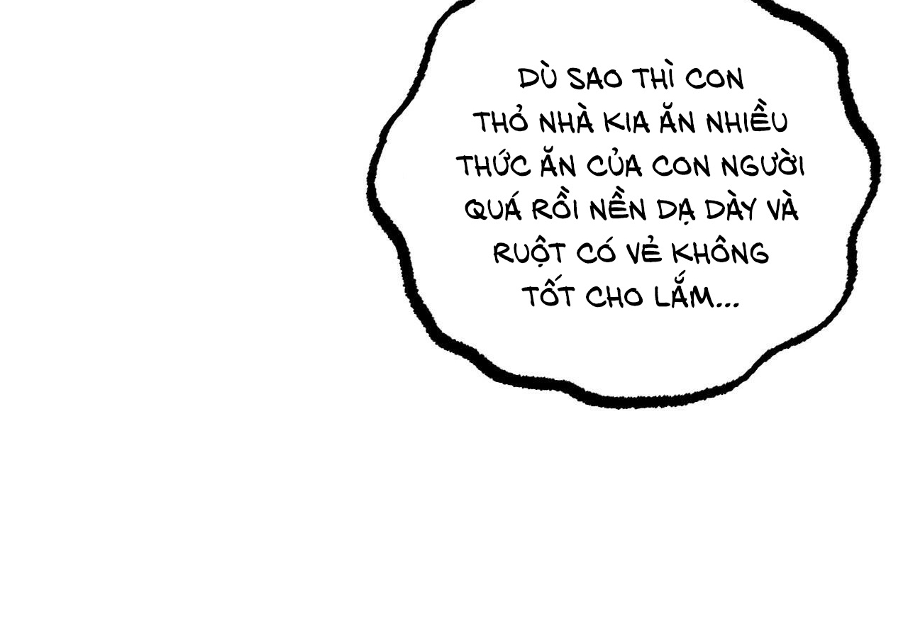 đàn thỏ của habibi chapter 20 44