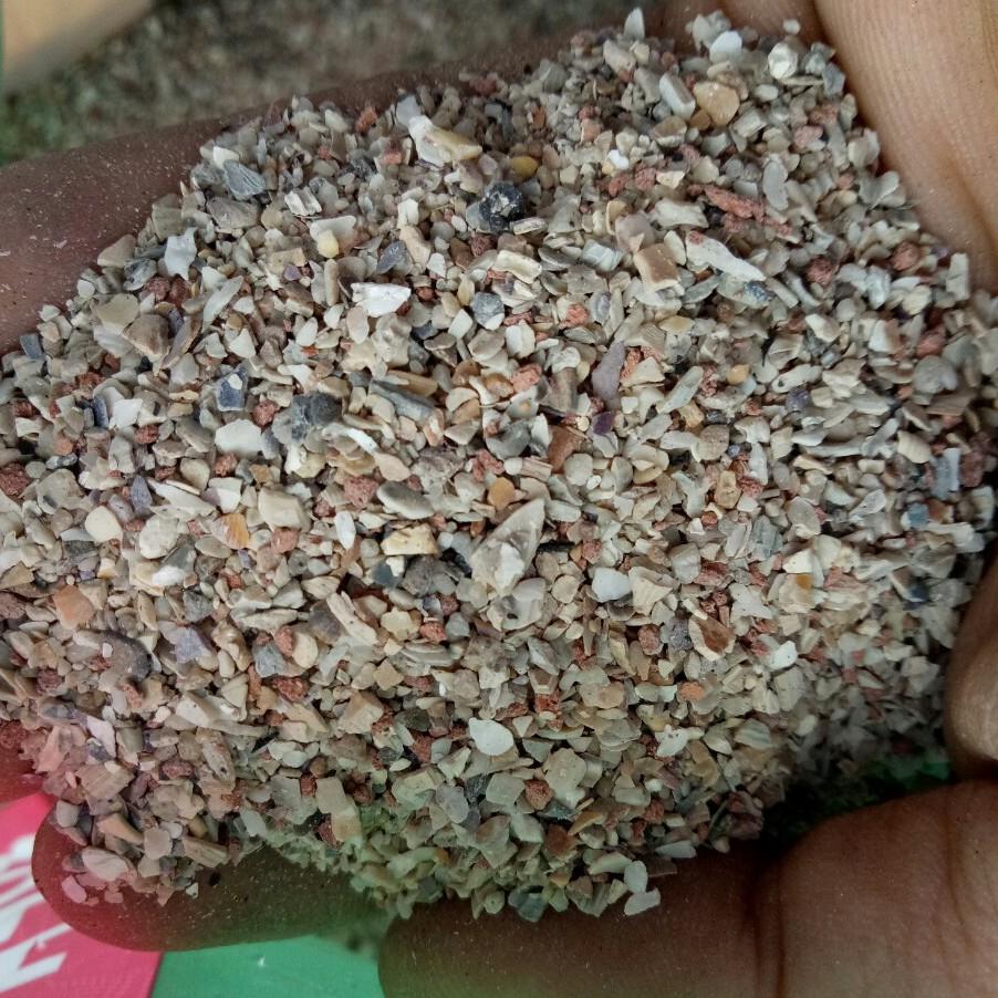 500G KHOÁNG GRIF CHO VẸT,YẾN PHỤNG, FINCH, BẢY MÀU,YẾN HÓT, BỒ CÂU,C.U GÁY