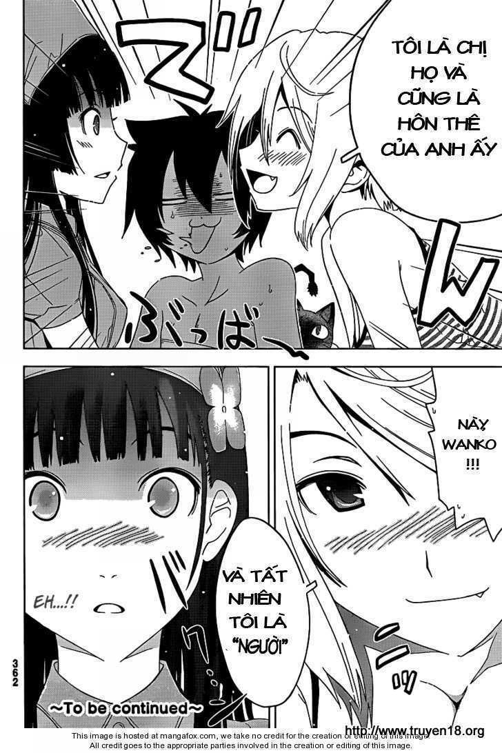 sanka rea chapter 9 31