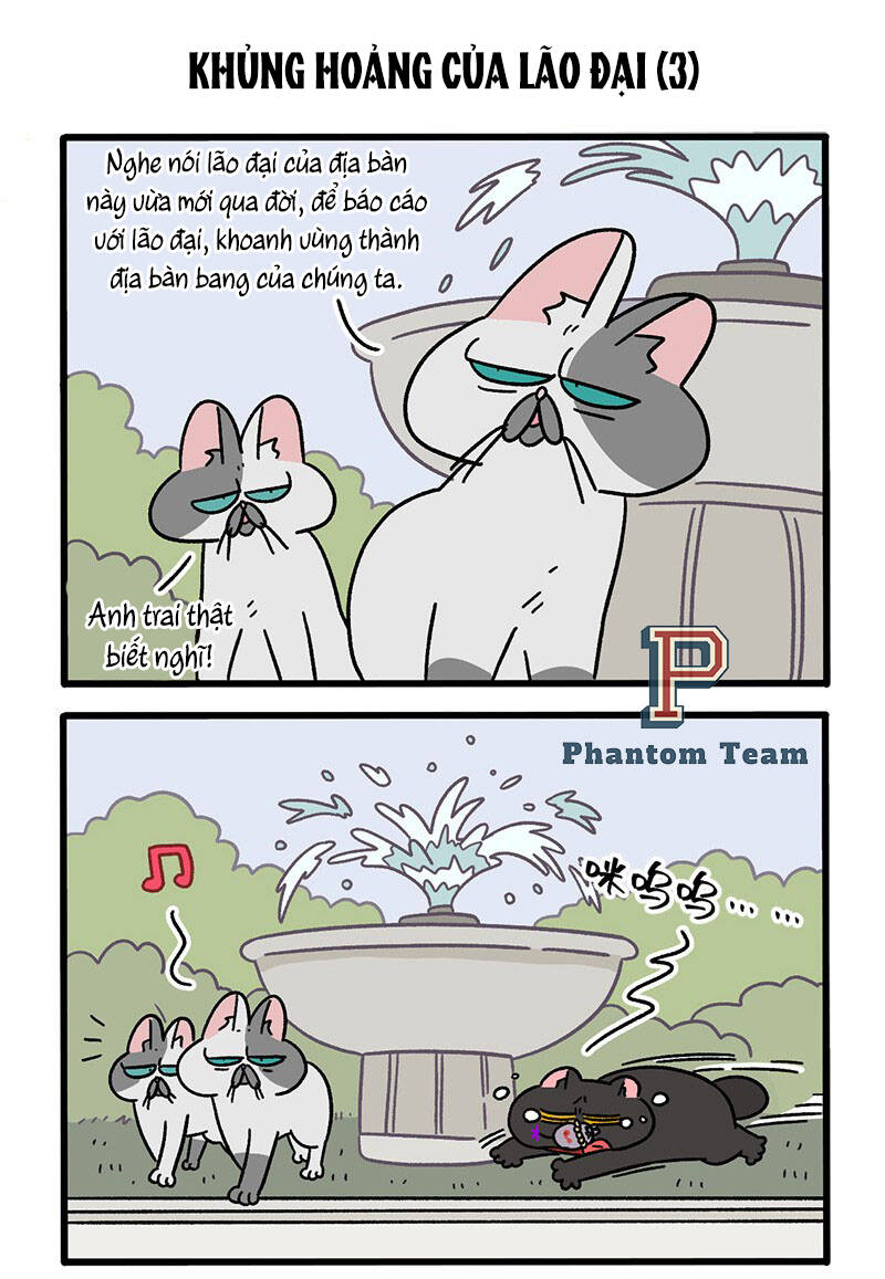 a mãn và mạch trà chapter 40 5