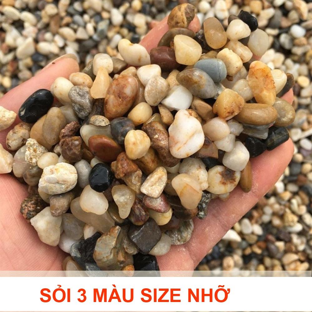 Sỏi suối 3 màu trang trí bể cá, hồ thủy sinh, tiểu cảnh, cây cảnh, chậu sen đá, xương rồng, hòn non bộ, lọc nước hồ cá