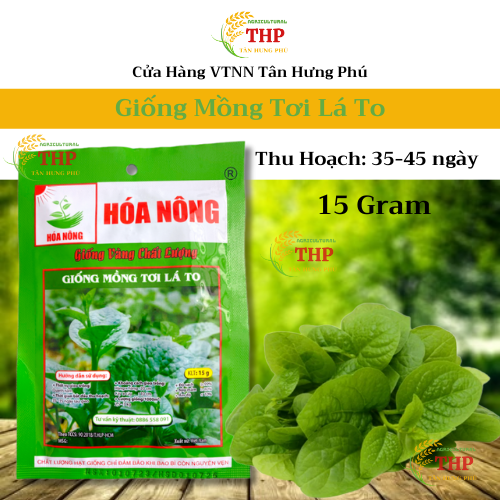 Hạt giống Mồng Tơi Lá To | Hạt Giống | gói 15gr