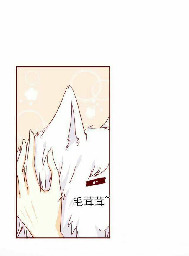 hôm nay tôi sẽ yêu ai đây ? chapter 41 5