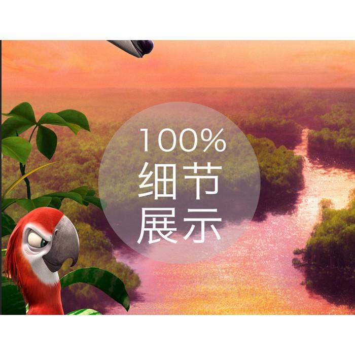 Tranh dán tường 3d Những Chú Vẹt