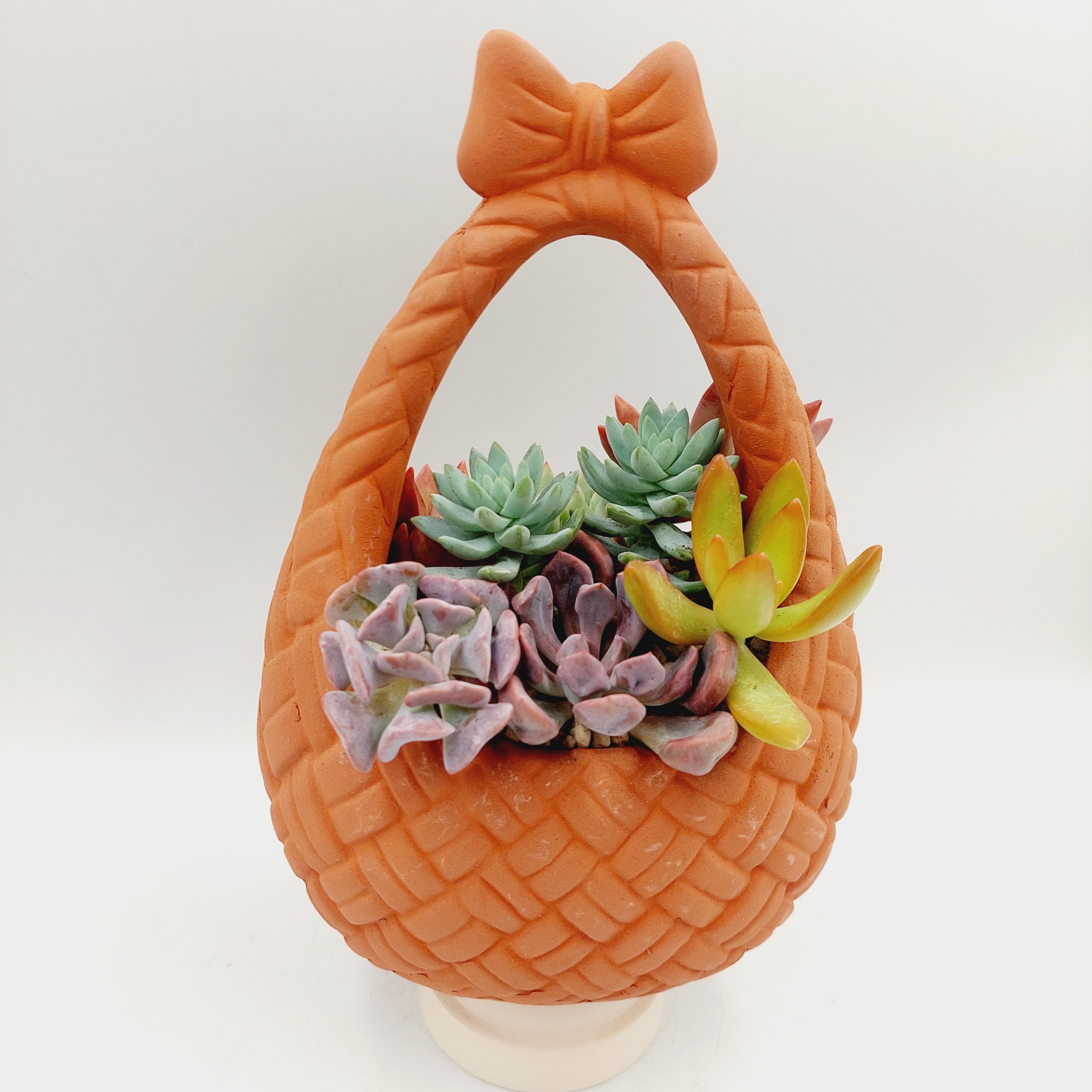 Chậu đất nung, chậu sen đá -Giỏ nơ, miệng chậu , chiều cao 20cm