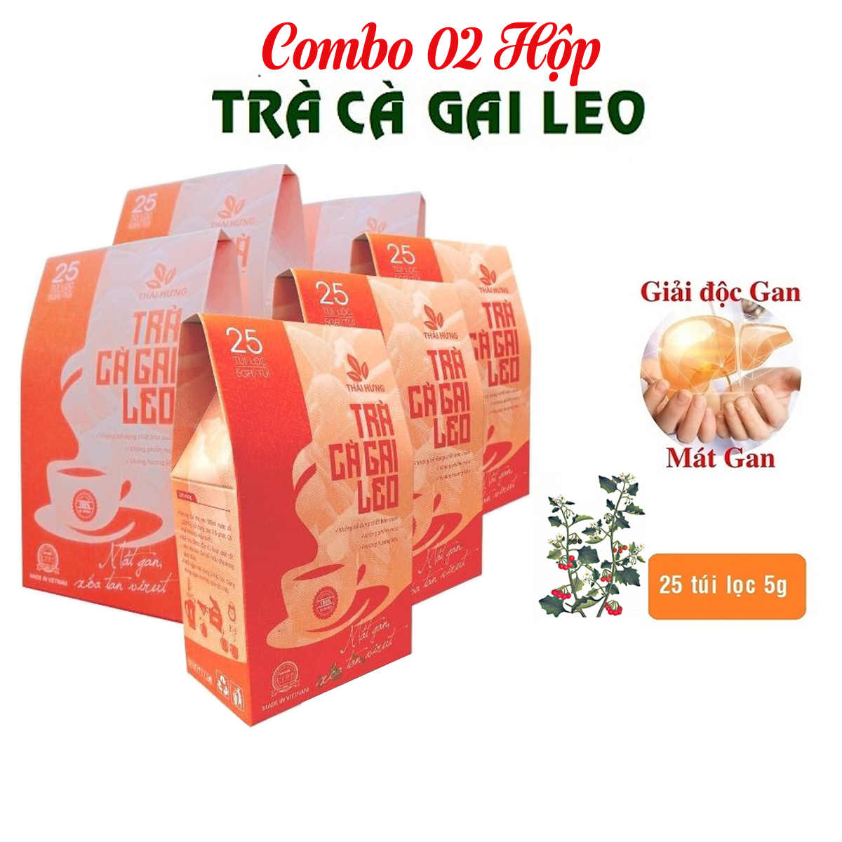 Combo 02 Hộp Trà Cà gai leo Thái Hưng 25 túi lọc x 05g - Mát gan, giải độc, giải rượu, giảm mụn nhọt