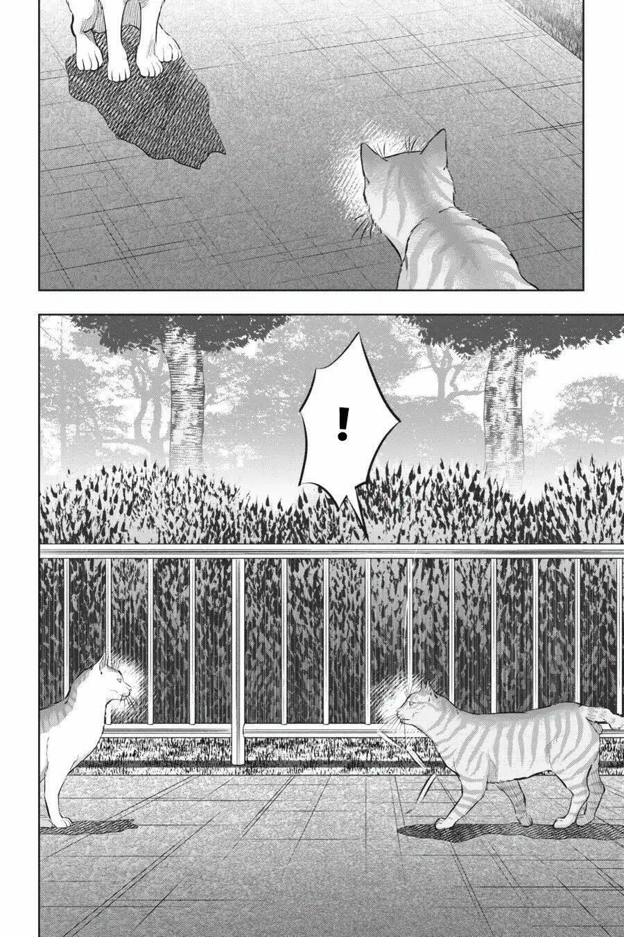 nyankees chapter 14 33