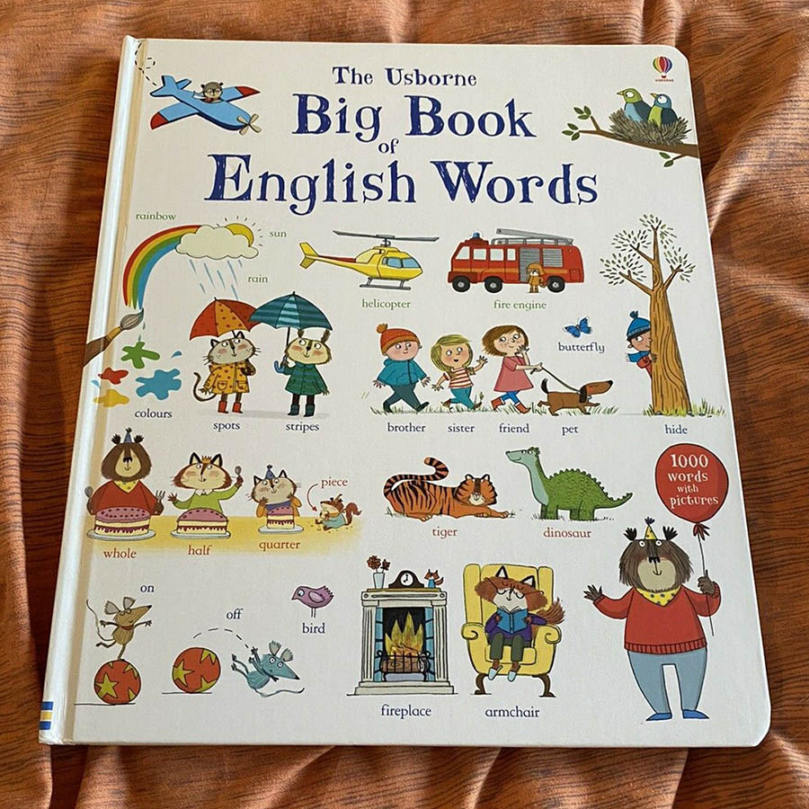 Sách tiếng Anh - Usborne Big Book of English Words