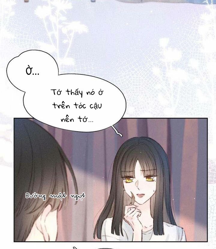 nỗi buồn của hoa cẩm tú cầu chapter 14 1