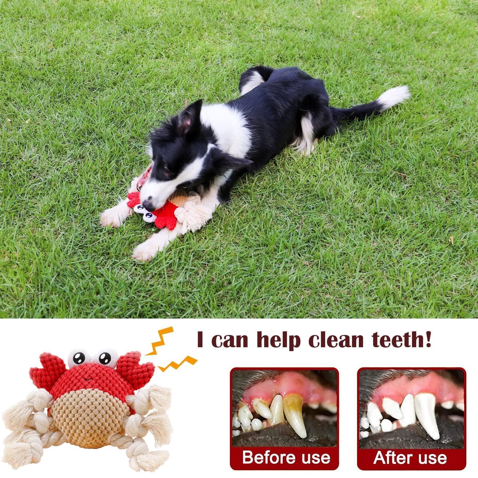 Plüsch Dog Toy Squeaky Tương tác K Đồ chơi với chân dây mạnh, kéo chiến tranh cho chó con, chó nhỏ, vừa và lớn