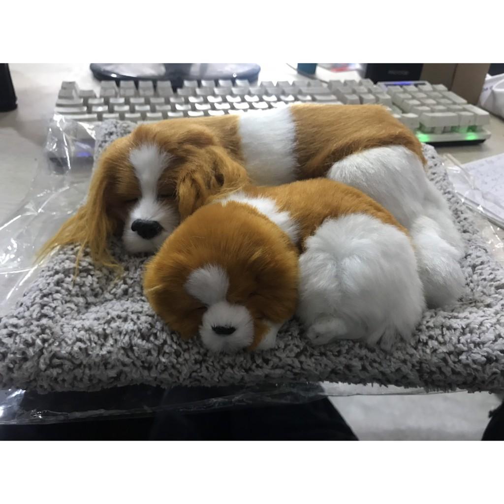 CHÓ BÔNG THAN HOẠT TÍNH TRANG TRÍ Ô TÔ