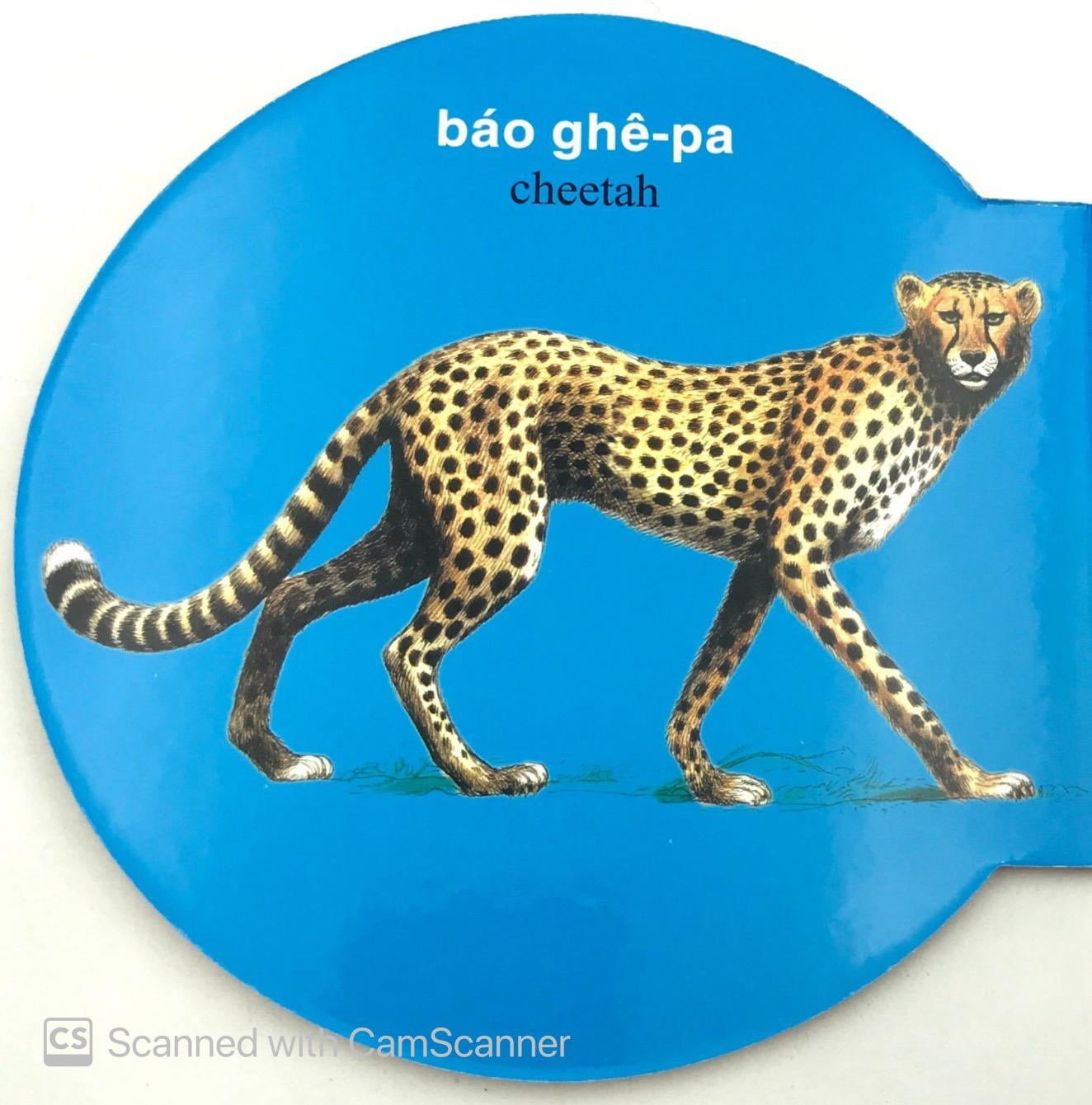 Từ Điển Anh - Việt Bằng Hình: Wild Animals - Động Vật Hoang Dã