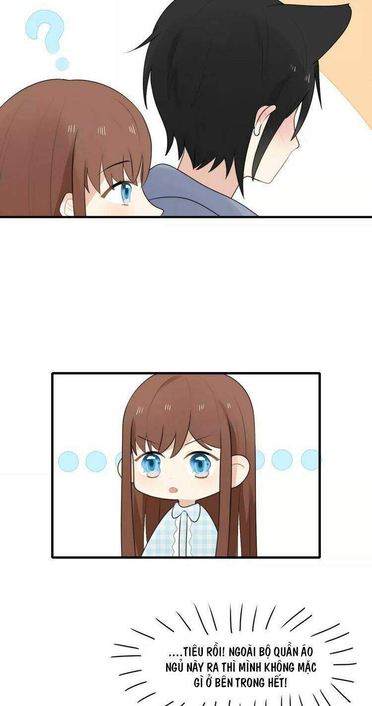 tiểu miêu và hắc diệu thạch chapter 1 51