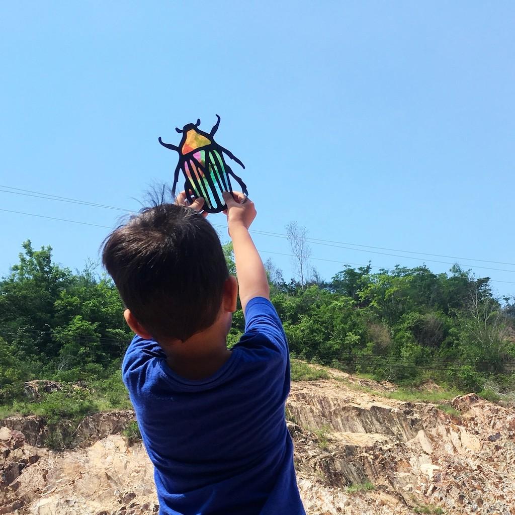Bộ Thủ Công 6 Bọ Cánh Cứng Đón Nắng