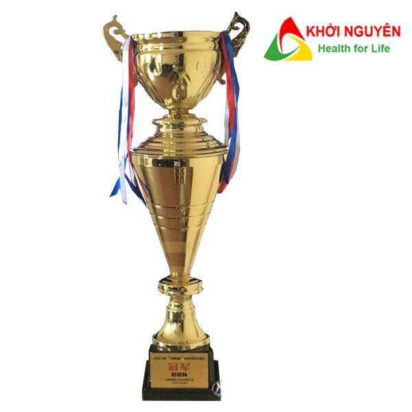 Cúp thể thao cao cấp T-169 + Free in tem Logo giải đấu