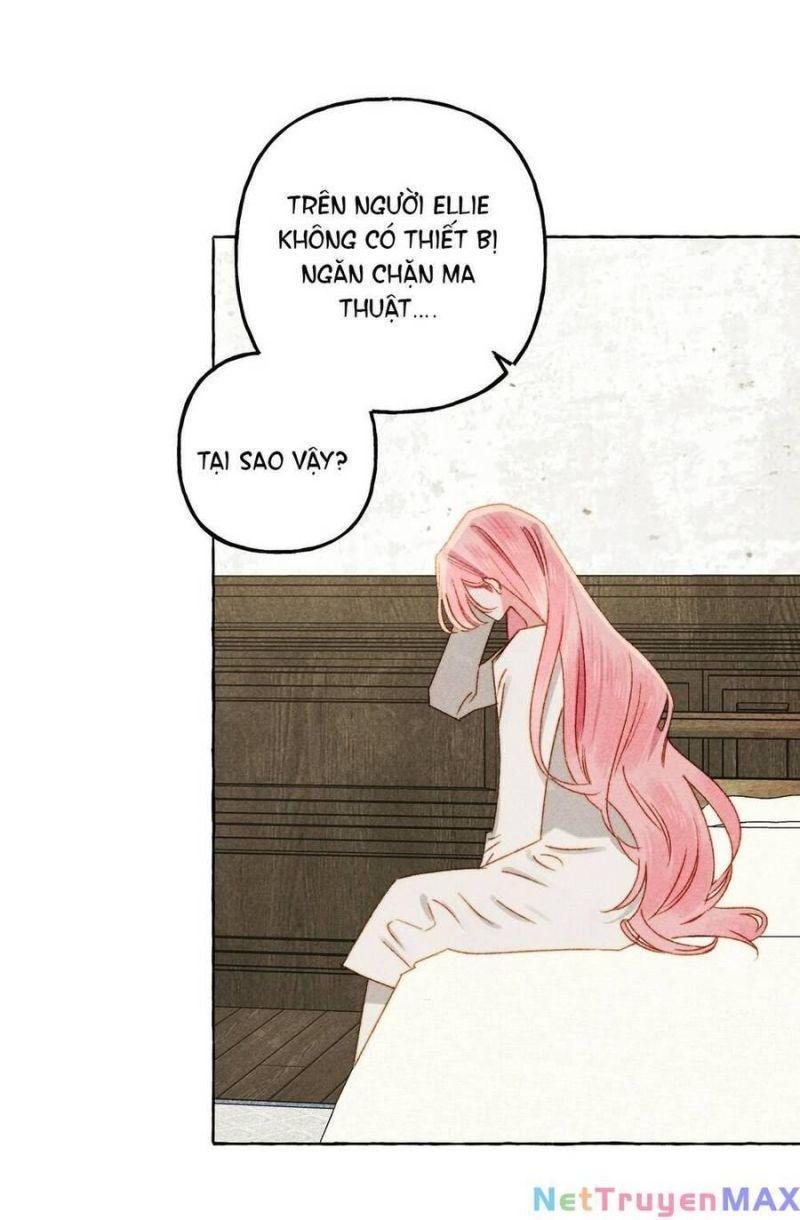 nuôi dưỡng một hắc long chapter 68.2 11