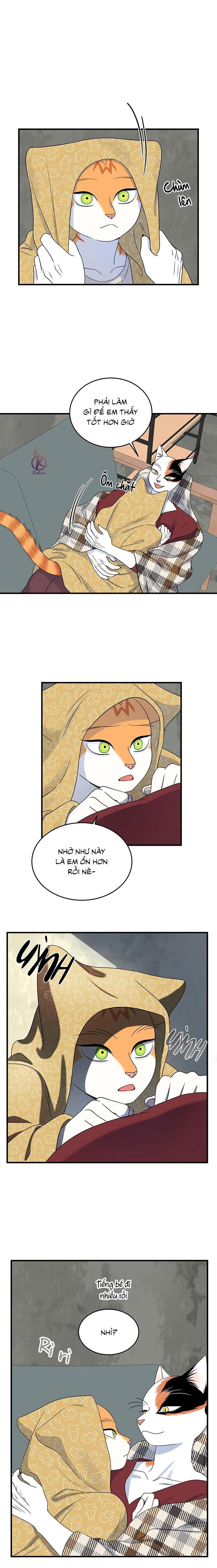 dự án xanh chapter 47 4