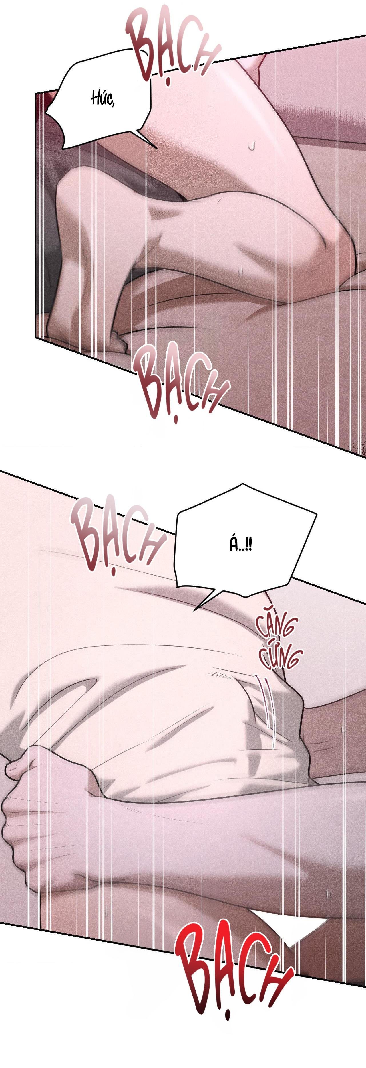 gấu teddy thân yêu chapter 36 28