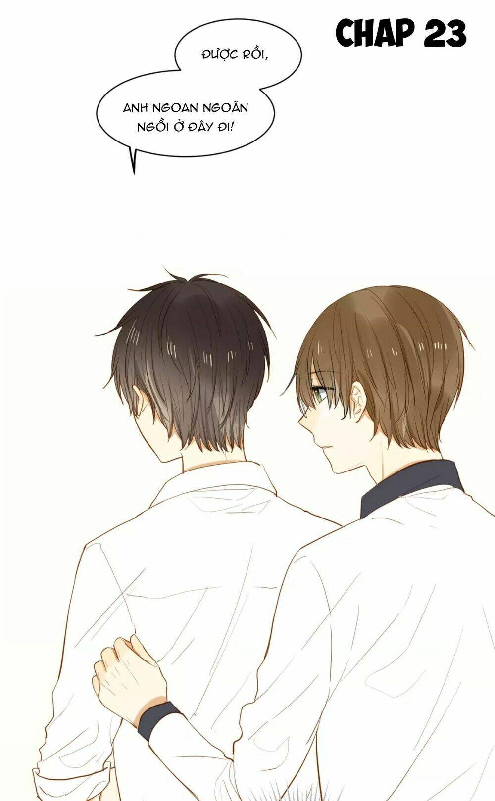 điều giáo quan hệ chapter 23 1