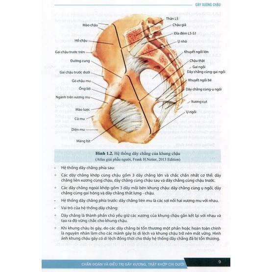 Sách - Chẩn đoán và đ.trị gãy xương trật khớp chi dưới