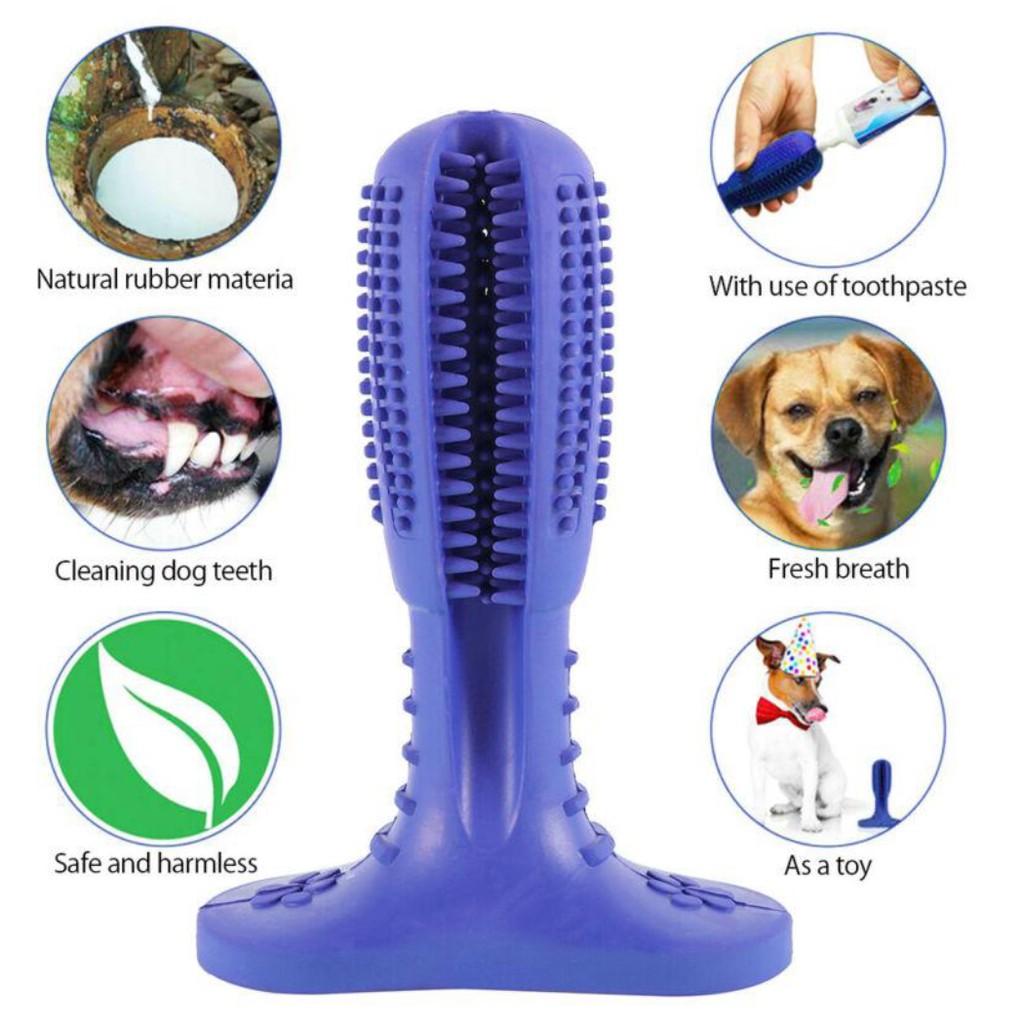 Dụng cụ đánh răng cho chó DOG TOOTHBRUSH