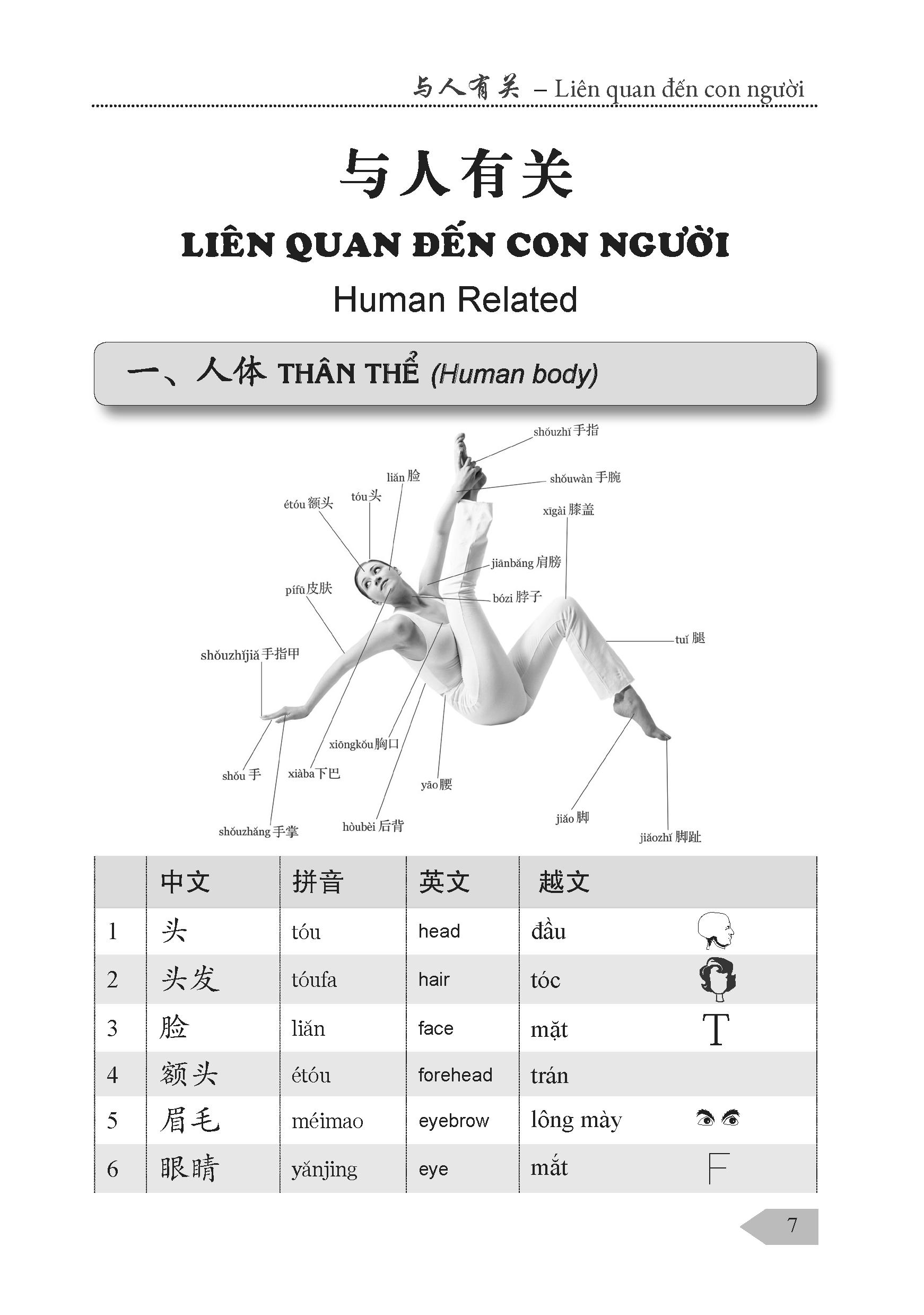 Từ Điển Hán Việt Cho Người Mới Học