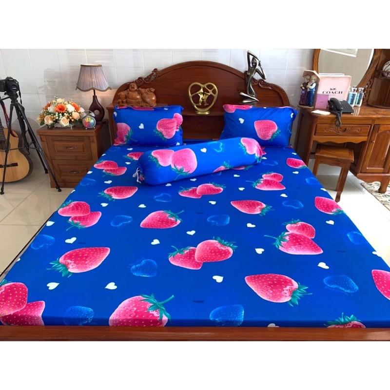 Bộ drap ga thun lạnh Hàn quốc 4 món chất đẹp