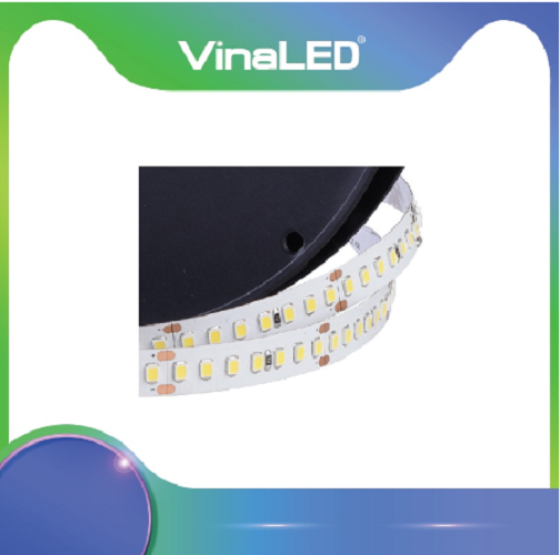 Led dây 2835, D24 168 Led VINALED