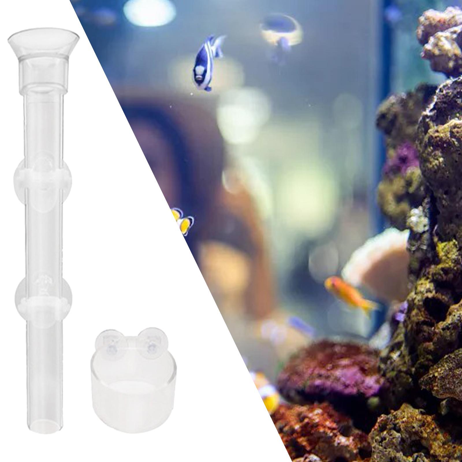 Clear Shrimp Feeder Fish Food Dish Container for Fish Tank