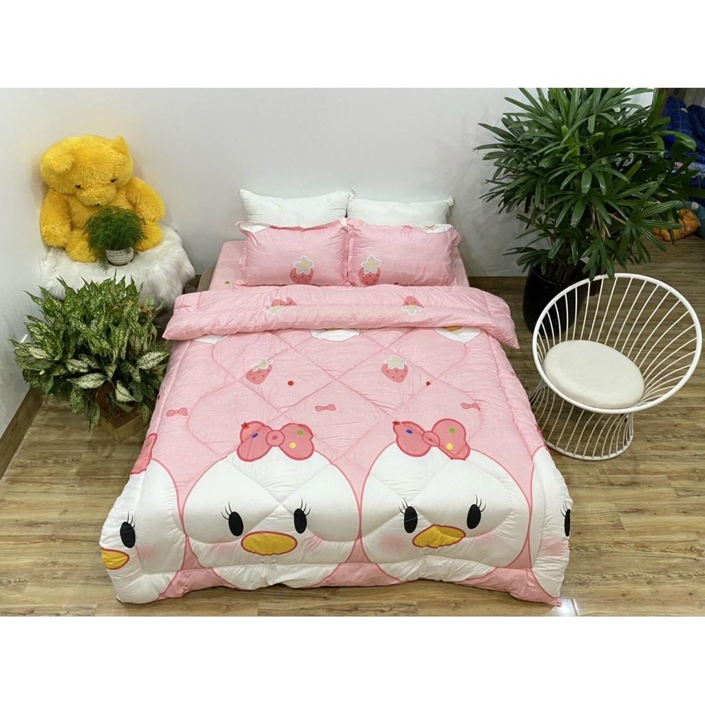 Trọn bộ 5 món chăn phao ga gối cotton poly nhập khẩu Hàn Quốc size giường 1m8*2m