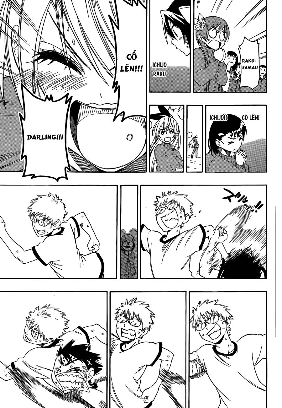 nisekoi - tình yêu giả tạo chapter 73 16