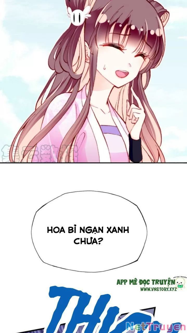 lại bị bệnh chiều chuộng quấn lấy chapter 35 38