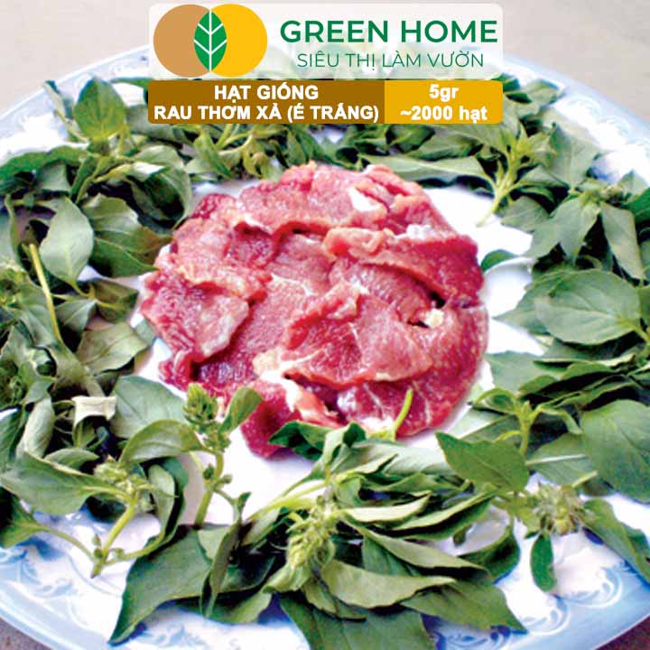 Hạt Giống Rau Thơm Xả (É Trắng) GreenHome, Gói 5g~2000 hạt, Sinh Trưởng Khỏe, Dễ Trồng Quanh Năm G19