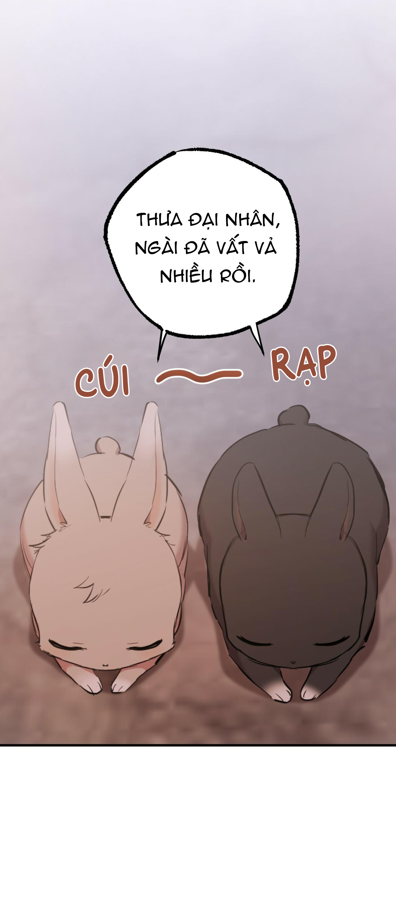 những chú thỏ của hapypy chapter 19 24