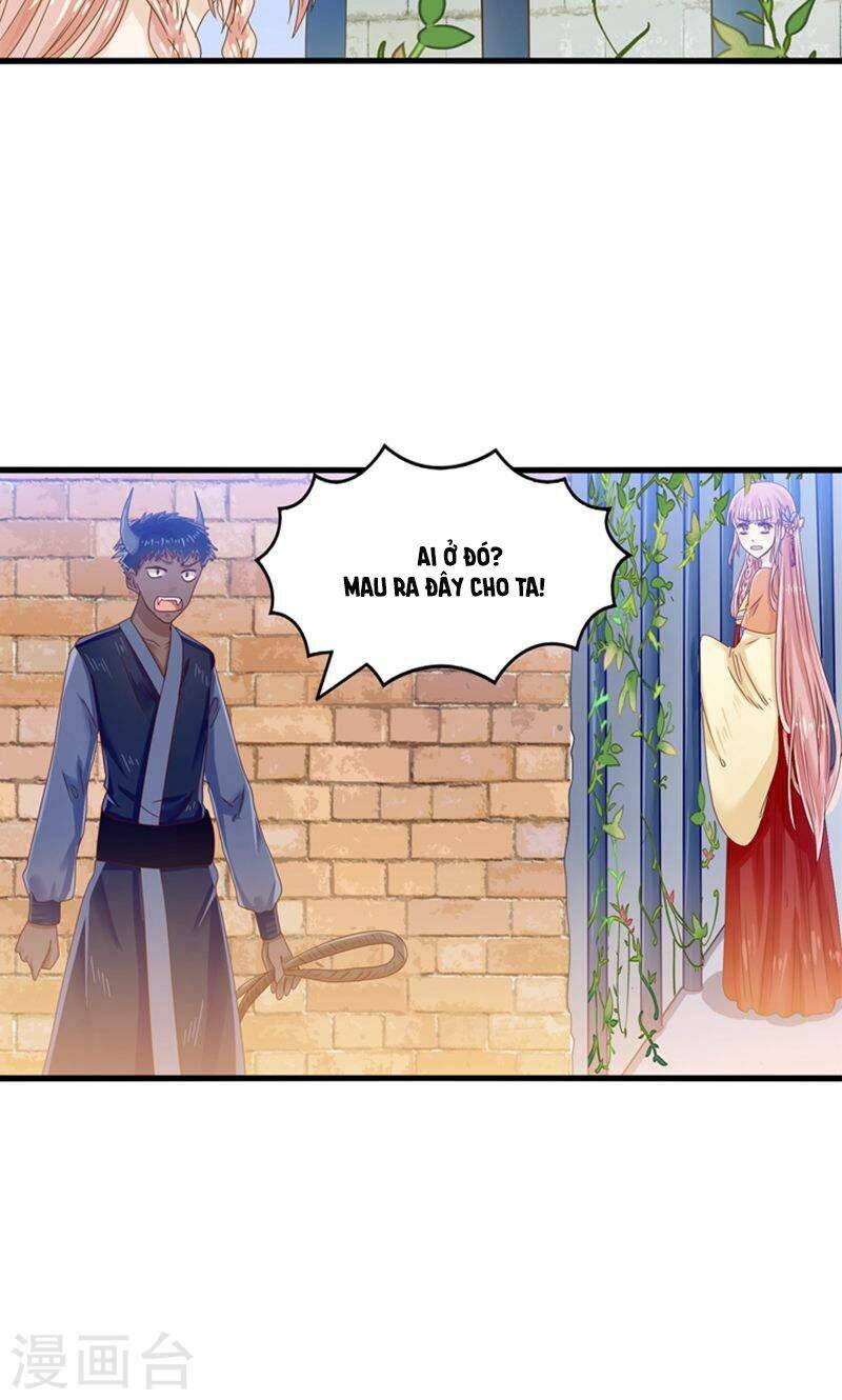 tôi bị gấu trúc nhìn trúng rồi chapter 23 30