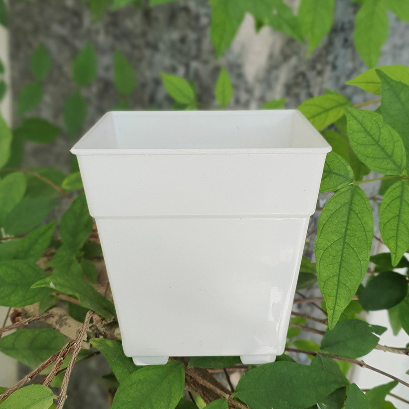 Combo 10 chậu hoa nhựa vuông trắng 17x18cm