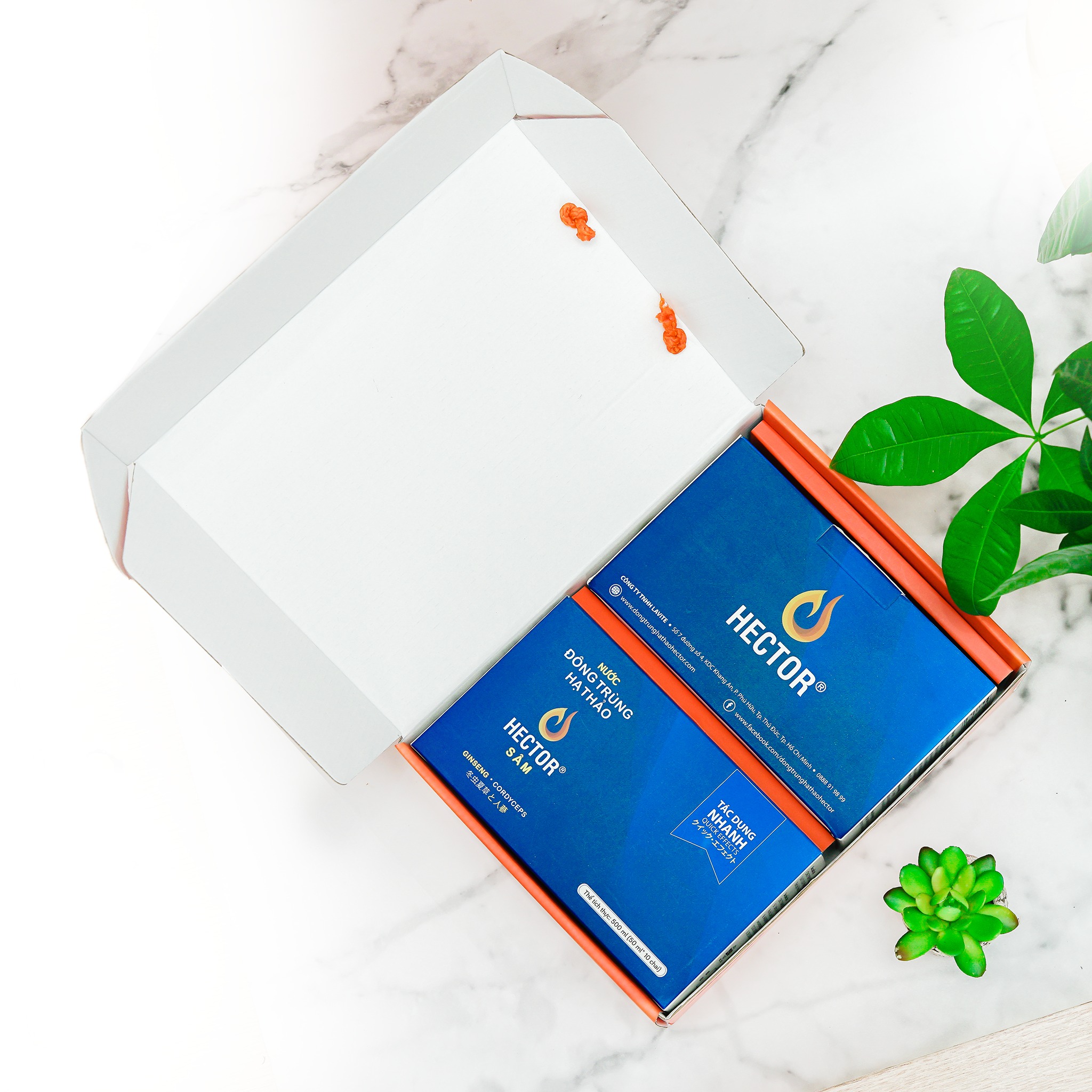 Nước Đông trùng hạ thảo Hector Sâm Hộp quà tặng