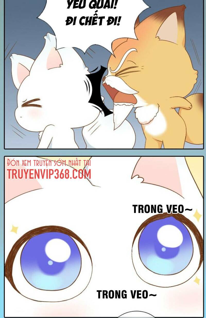 tiểu hoà thượng - chào mừng đến trấn yêu quái chapter 62 10