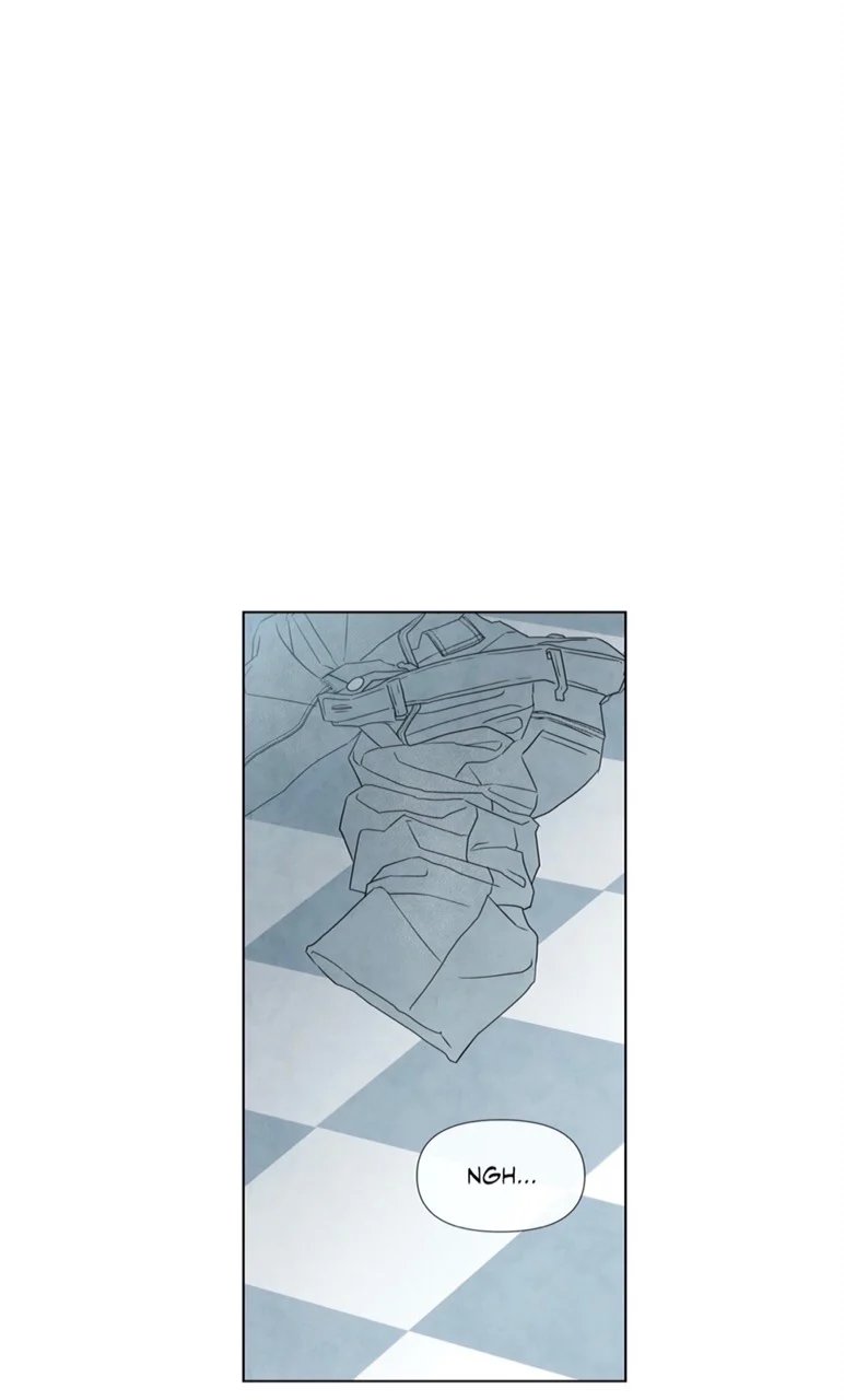 summer solstice point chapter 9 38