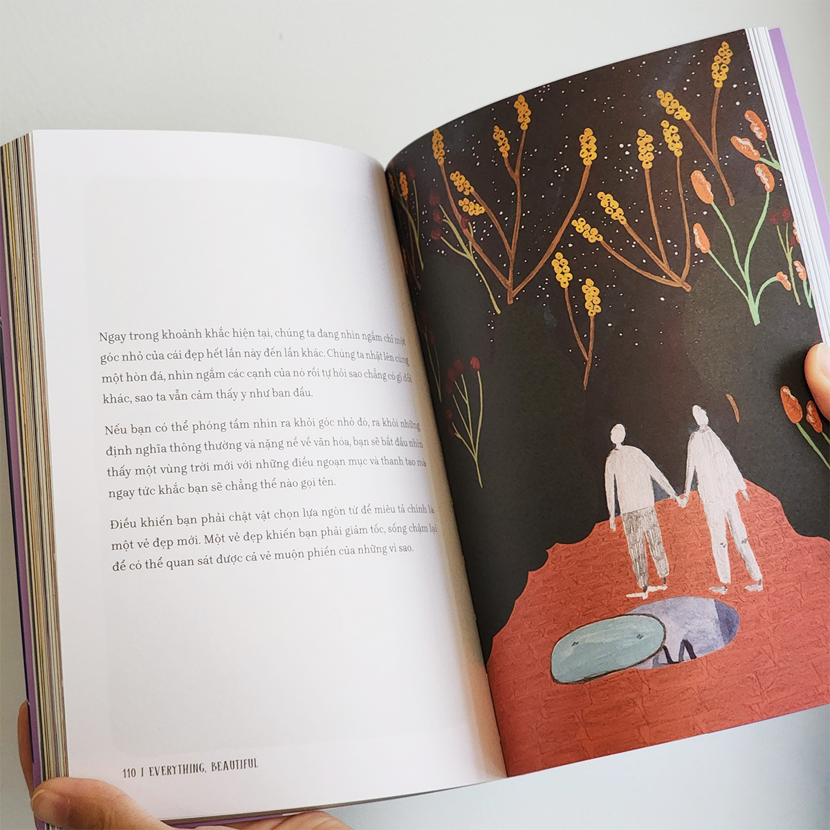 Sách Everything, Beautiful! - Tìm Về Và Kết Nối Với Vẻ Đẹp Tiềm Ẩn Quanh Ta