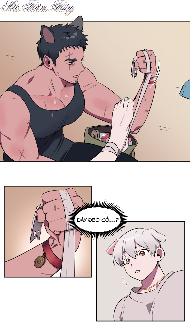 tình đầu chapter 1 34