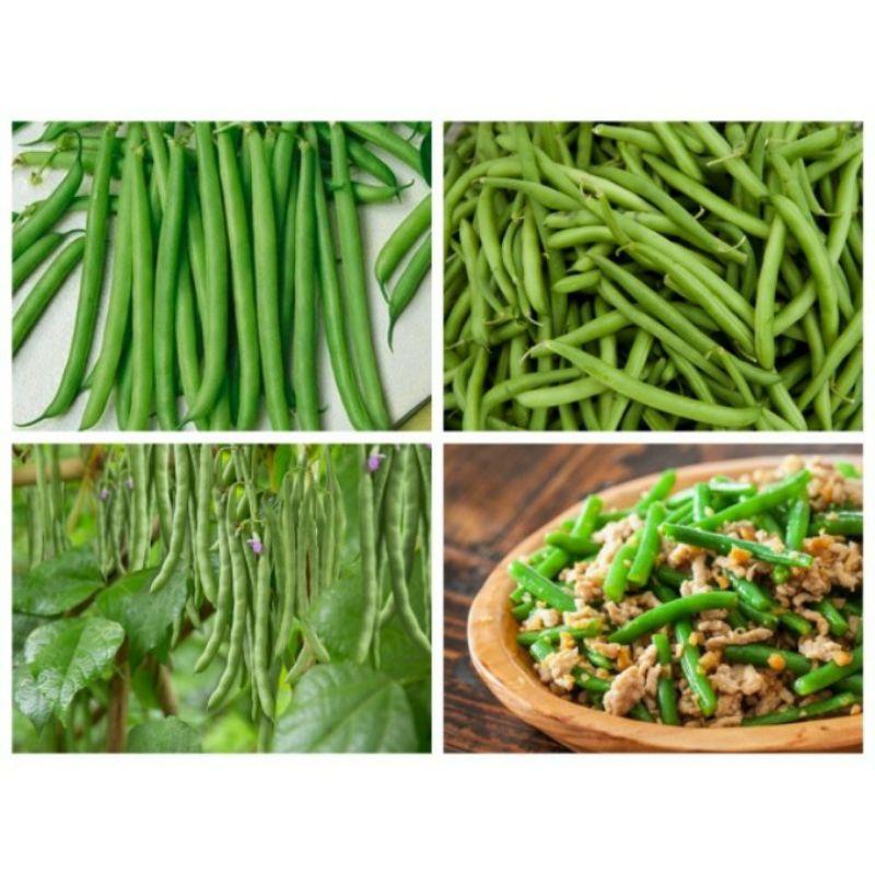 20gram hạt giống đậu cove xanh leo