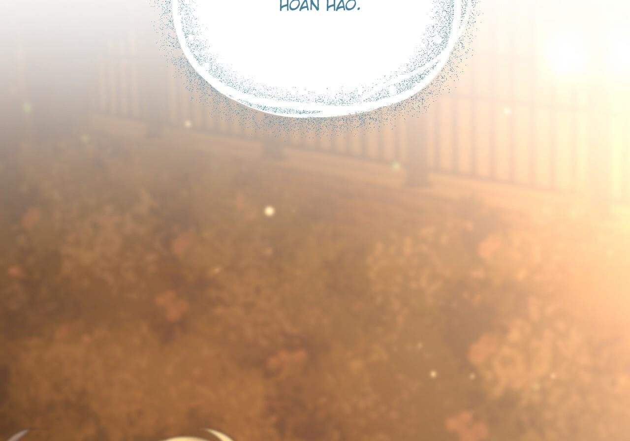 những chú thỏ của hapypy chapter 60 259